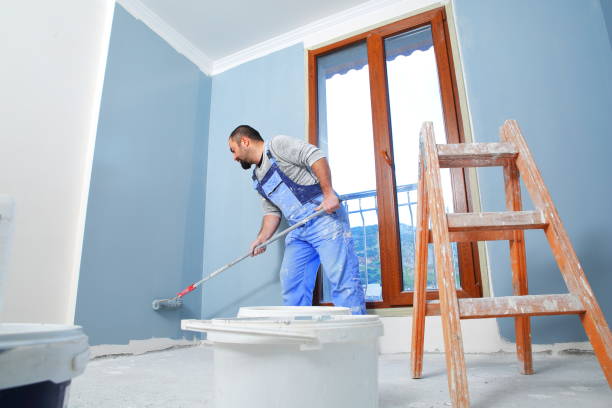 Professional Mold Removal in Folcroft, PA